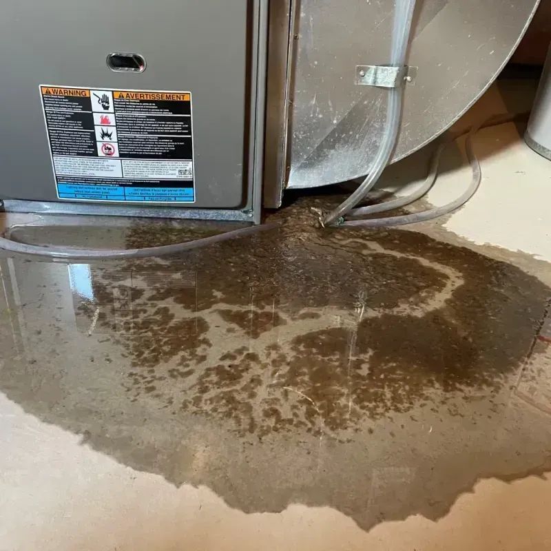 Appliance Leak Cleanup in Minot, ND